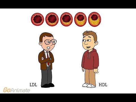 The basics of cholesterol