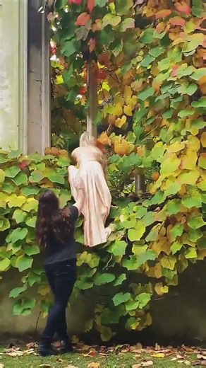 I Asked a Random Stranger for Help... Why Am I Like This 😆