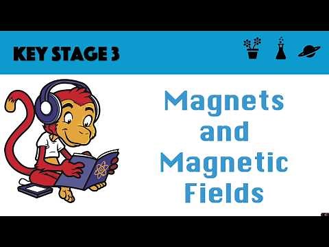 Magnets and Magnetic Fields
