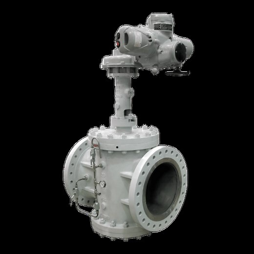 Dual Expanding Plug Valve | Arflu