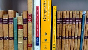 El español: Origen, evolución, historia, qué es y mucho más