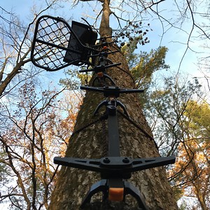 Public-Land Gear: Run and Gun Mobile Treestand Setup