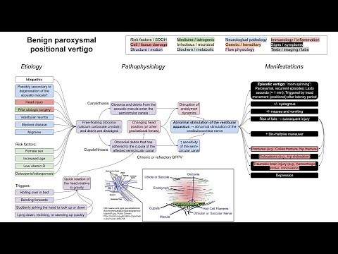 Benign paroxysmal positional vertigo (BPPV) (mechanism of disease)