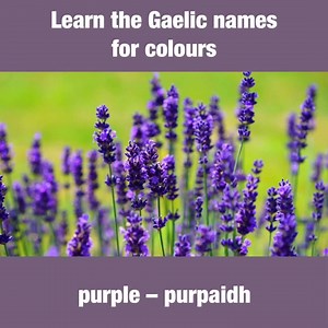 4K views · 136 reactions | Learn the Gaelic names for colours | LearnGaelic | Facebook