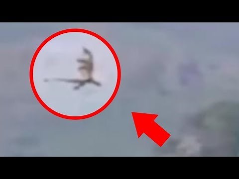 5 REAL DRAGON CAUGHT ON CAMERA IN REAL LIFE !