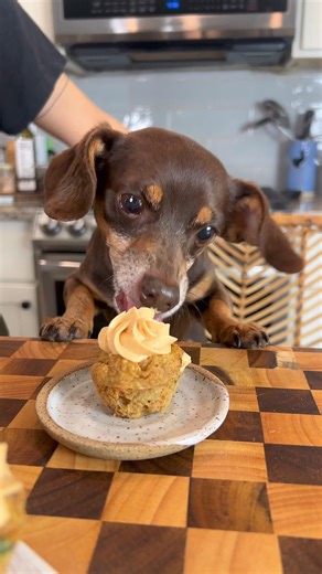 The best way to celebrate your pups birthday! #dogsoffacebook #doggies #pupcakes | Sweet Simple Vegan