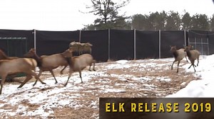 64K views · 763 reactions | In early April, the Wisconsin DNR...