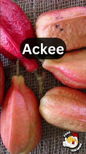 Ackee: Exploring the Exotic Delights of Jamaica's National Fruit
