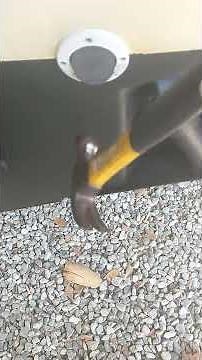 Checking a Grady White Transom for water intrusion