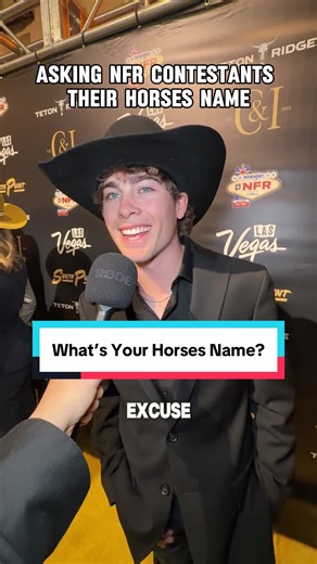From the arena to the barn, these horses are the true MVPs of National Finals Rodeo.🐴🤠📍South Point Las Vegas @lasvegasnfr #VegasEntertainmemt #LasVegas #Vegas #NFR