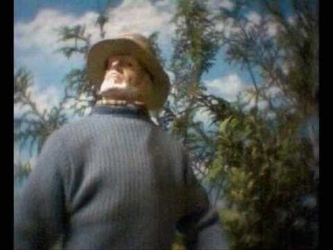 THE WAR OF THE WORLDS