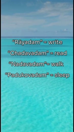 Day 19: Learn Telugu – Walk & Sleep (Nadavadam, Padukovadam) | #easytelugu