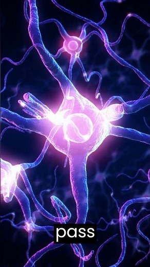 How Neurons communicate #neurons #neurology #neuroscience