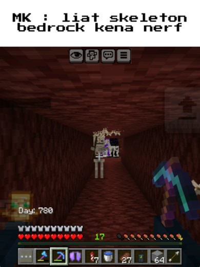 Understanding the Nerf of Skeleton Bedrock in Minecraft