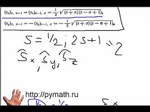 Pauli Matrix