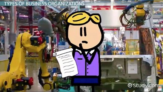Types of Business Organizations | Meaning & Examples