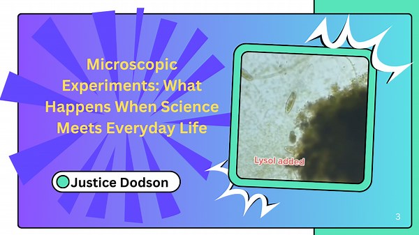 Microscopic Experiments: What Happens When Science Meets Everyday Life