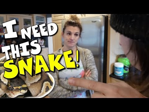 HOW TO CONVINCE YOUR PARENTS TO GET A PET SNAKE!!! | BRIAN BARCZYK