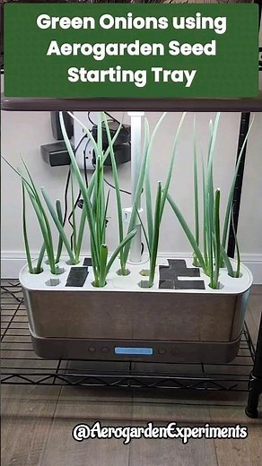 Grow Green/Spring Onions using Aerogarden Seed Starting Tray in Aerogarden Harvest hydroponics