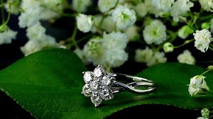 5.2K views · 257 reactions | Take the time to enjoy the Earth's...