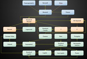 Univariate Distribution