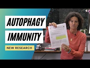 New Research On Autophagy And Your Immune System