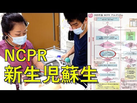 【NCPR】新生児蘇生シミュレーション　2024/3公開