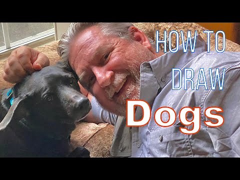How to Draw Dogs