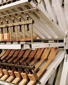 7.8K views · 461 reactions | Well over a million Taylor guitars have been crafted with the patented Taylor Neck since the design was born in 1999, and the proof is in the playing. That’s a big reason why the Taylor guitar neck has become widely recognized as the gold standard for playability in the acoustic guitar world. | Taylor Guitars | Facebook