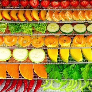 15 reactions | Did you know that fruits and vegetables are some of the most commonly tossed food in the world? Forty-six percent (46%) of foods wasted are typically root vegetables, like potatoes, beets, and carrots. Instead of throwing away your produce dry them in your Excalibur Dehydrator. Extend your produce shelf life and save money too! | Excalibur Food Dehydrators | Facebook