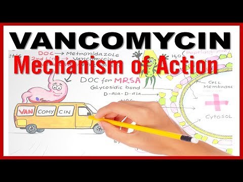 VANCOMYCIN Mechanism of Action