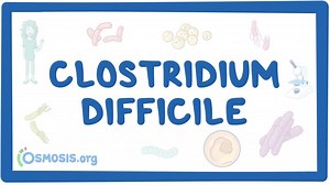 Clostridium difficile (Pseudomembranous colitis): Video, Causes, & Meaning | Osmosis