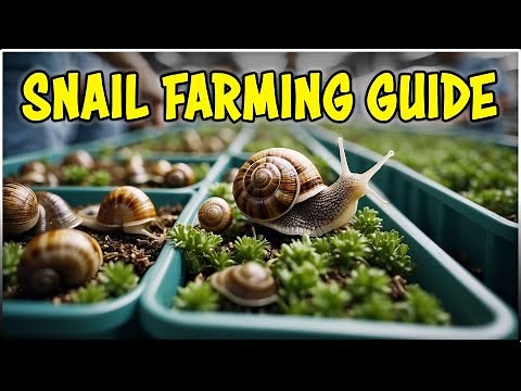 Snail Farming for Beginners: A Comprehensive Guide