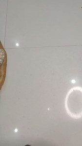 Most beautiful front open/Party wear dress designs #new #viral #dress #shorts #trending #frontopen #trending #frock #kurti #rubydressdesigns #trendykurtidesign #kurtidesign #rubydresstutorail #trendysidepleatedkurti #sewing #kurti #latestkurtidesign #newdressdiy #designerkurticuttingandstitching #frock #newkurtidesign2023 #partywear #dress #cuttingandstitching #gown #designergown #partywear #longgown #stitching #fontopenfrock #latestdesign #festivspecial | Ruby Khan