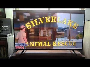 Bolt (2008) - Disney Channel Intro