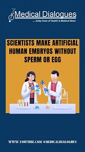 Scientists make artificial human embryos without sperm or egg. Researchers at the Weizmann Institute of Science have created an artificial "embryo model" that mimics a 14-day-old human embryo without using sperm, eggs, or a womb. They achieved this by starting with pluripotent stem cells, which can develop into various tissue types, and coaxing them into becoming four cell types found in early human embryos. Think of it like making a cake with cells instead of flour and sugar. By mixing these ce