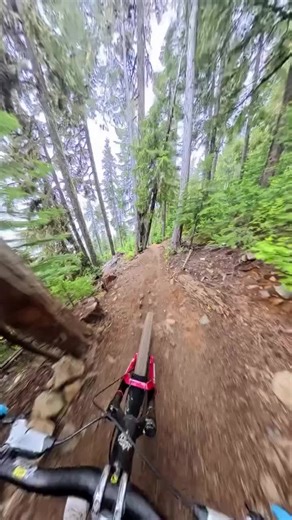 lewbuchanan casually ripped down this section… 💥 ”…to then head back up 20 mins later for another lap of it to then see the trail closed…then I found out there was a cougar chilling here and roaming around this section and trail😳😭 Canada can be gnarly haha! @onlyfans | shot on @insta360 X5” 🎥 💬: @lewbuchanan Follow @projectd.bike to become a better mountain biker this year ⛰️ #ProjectDbike #ProjectDbikeMTB #mtb #mountainbike #mtblife #downhill #mountainbiking #freeride #enduromtb #mtblove #