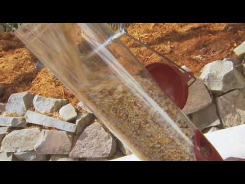 Bird Feeding Basics - How to Feed Birds