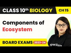 Components of Ecosystem - Our Environment | Class 10 Biology Chapter 15