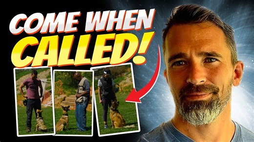 Easiest Way to Start Distance Recall Training