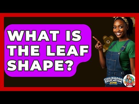 What Is The Leaf Shape? - Childhood Education Zone