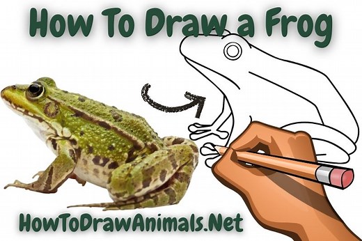 How To Draw a Frog - EASY Drawing Tutorial!