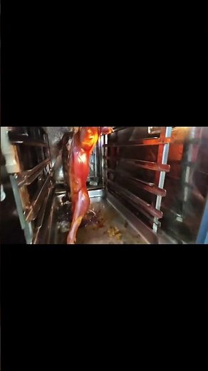 How to use combi oven make delicious food