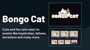 Bongo Cat is The Cutest Hype Man