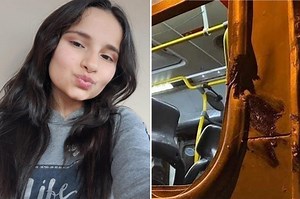 Girl on school bus dies while waving to friends as head collides with pole