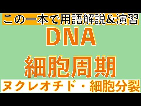 【用語解説と演習がこの一本でOK!!】DNAの構造と細胞周期〔高校生物、生物基礎、2023年度版〕