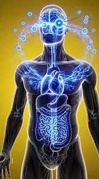 Blueberries Inside Your Body in 3D — Shocking Internal Benefits! #BlueberryBenefits #3DAnimation