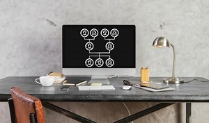 Online Tree or Genealogy Software? Where to Keep Your Data