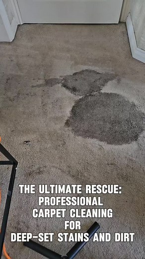 1.1M views · 6.1K reactions | Your carpets deserve a fresh start! Watch New Life Carpet bring this filthy floor back to life with our professional cleaning service. ✨ We take on even the toughest stains and dirt, leaving your home spotless. Ready to refresh your space? Contact New Life Carpet today for a free quote! #NewLifeCarpet #CarpetCleaning #DeepClean #SatisfyingClean #beforeandafter | New Life Carpet - Carpet Cleaning Service | Facebook