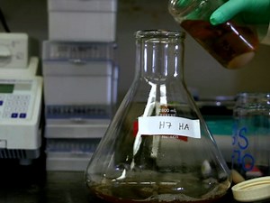 Expression of Functional Recombinant Hemagglutinin and Neuraminidase Proteins from the Novel H7N9 Influenza Virus Using the Baculovirus Expression System